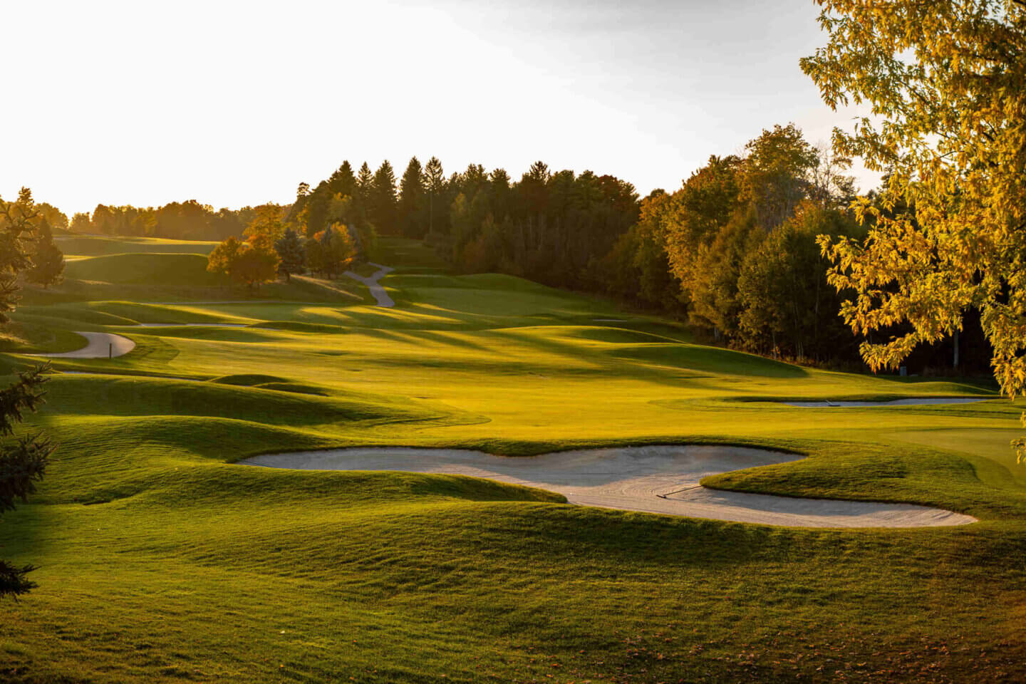 d388cc7bc02f46b674d4d068de73aad970cf34a6